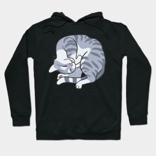 Graceful Gray Tabby Hoodie